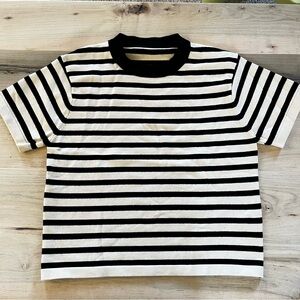 NWOT Dazy medium cream and black striped knit short sleeve top boxy